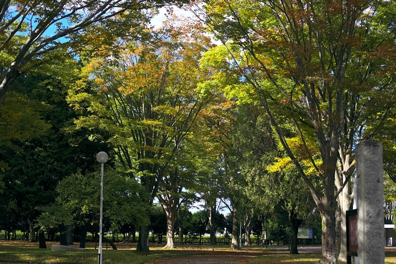 b0230131_08022399.jpg