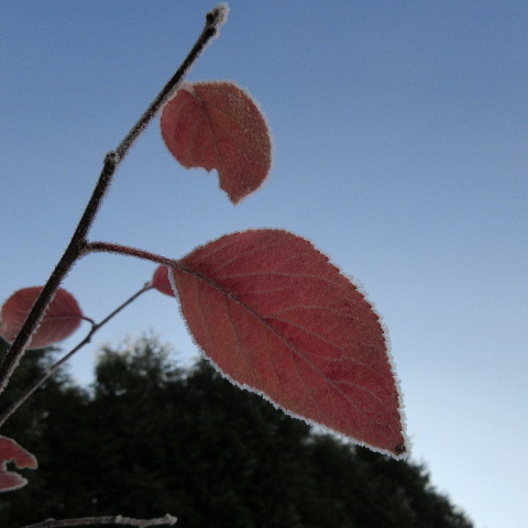 a0329935_08022069.jpeg