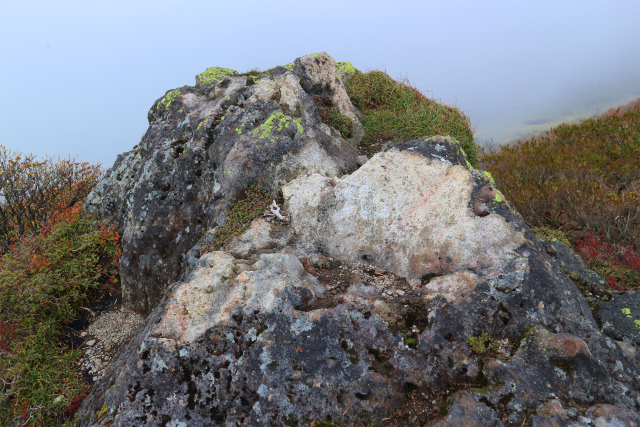 e0272335_12173.jpg