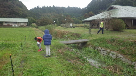 予報はずれの小雨 / 都会の小学校の来訪_a0123836_17040781.jpg