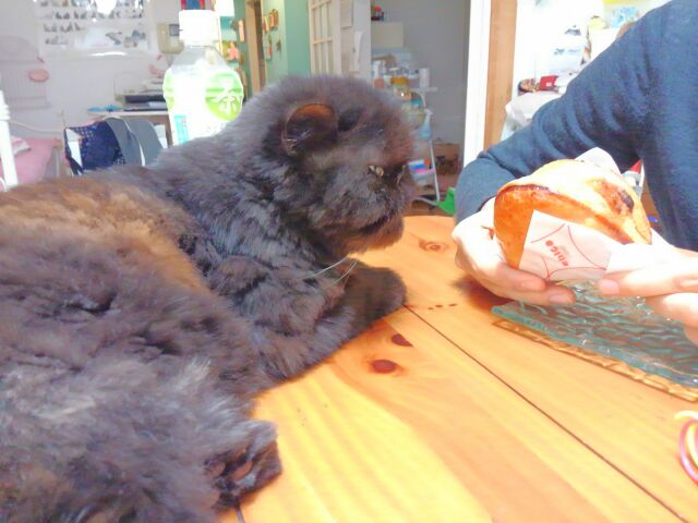 シャインマスカット_d0152937_2223423.jpg