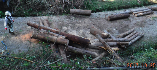 a0051539_20140634.png