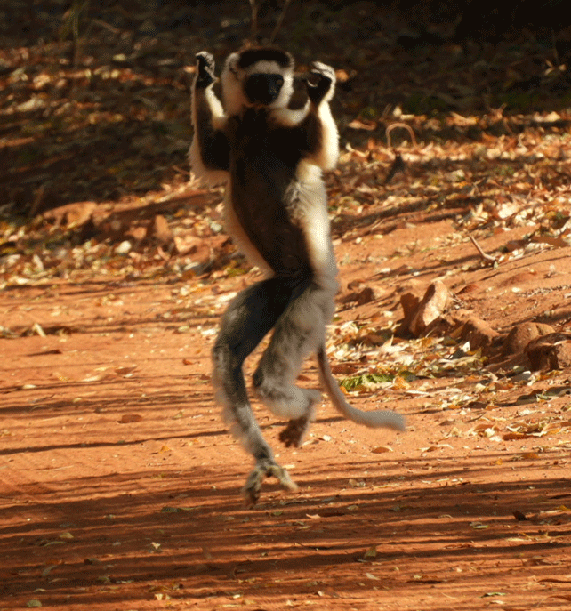 e0371039_14153380.gif