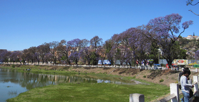 e0371039_14154133.gif