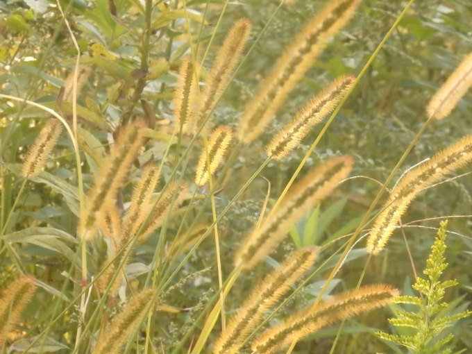 a0054240_20203224.jpg