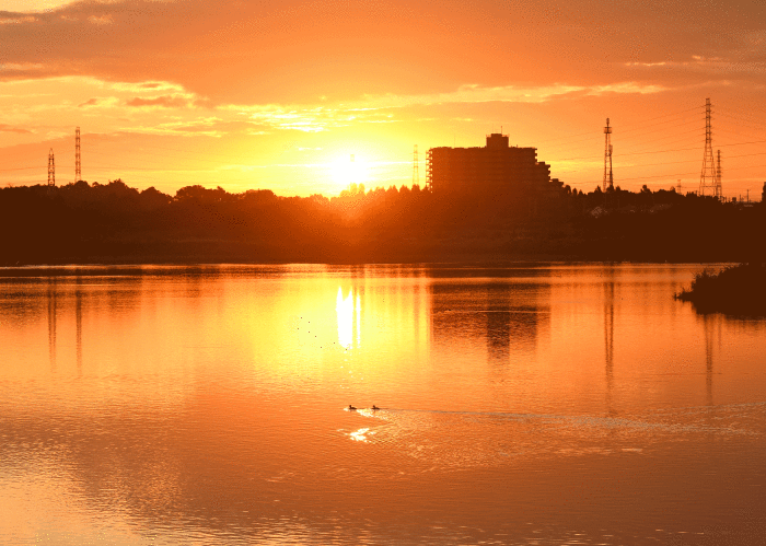 d0290240_11091956.gif