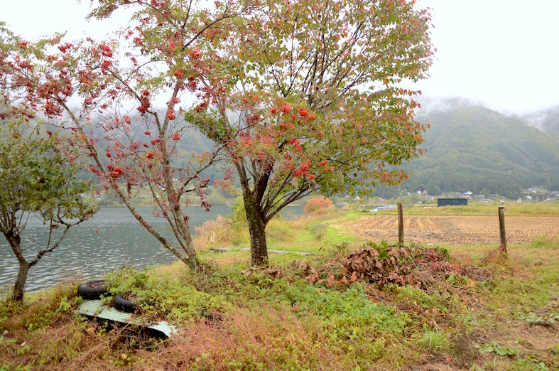 秋の仁科三湖を歩く_c0002943_14133254.jpg