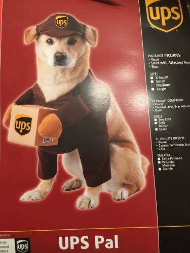b0305749_15151293.jpeg
