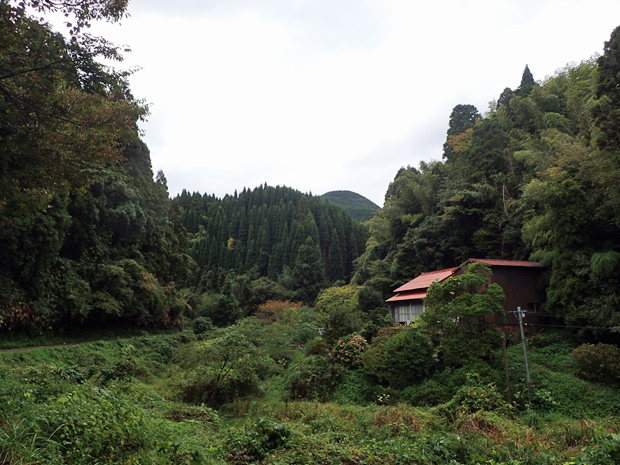 f0214649_04355483.jpg
