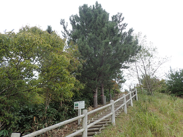 f0214649_04450398.jpg