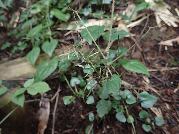 f0214649_04541482.jpg
