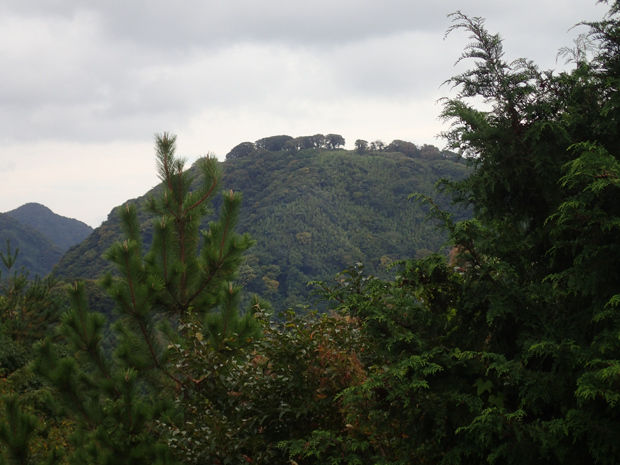 f0214649_04591438.jpg