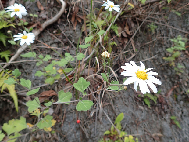 f0214649_05050241.jpg