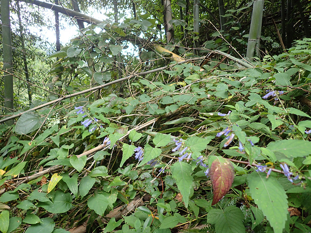 f0214649_20014544.jpg