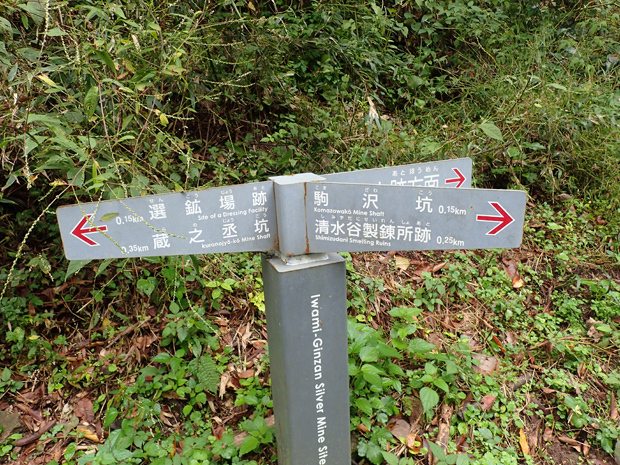f0214649_20024253.jpg