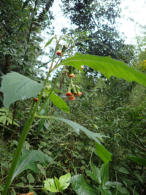 f0214649_20031284.jpg