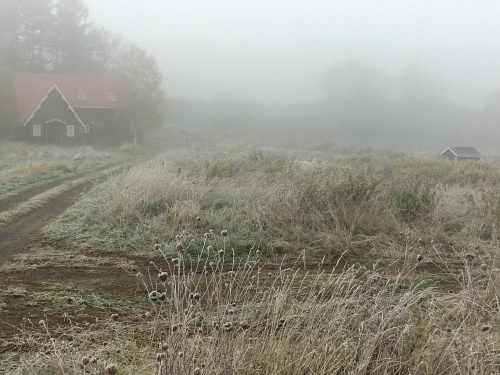 e0326953_17222271.jpg