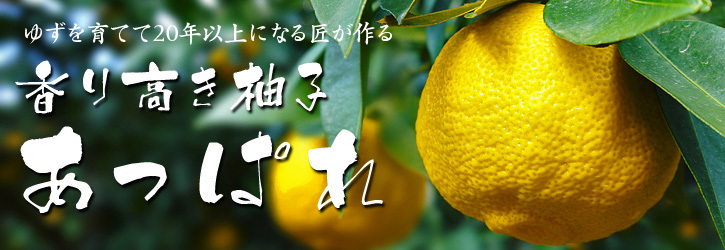 大人気!熊本産!香り高き柚子(ゆず) 令和3年度の予約受付スタート!商品ラインナップ紹介! _a0254656_14043783.jpg