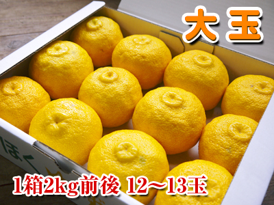 大人気!熊本産!香り高き柚子(ゆず) 令和3年度の予約受付スタート!商品ラインナップ紹介! _a0254656_14065326.jpg