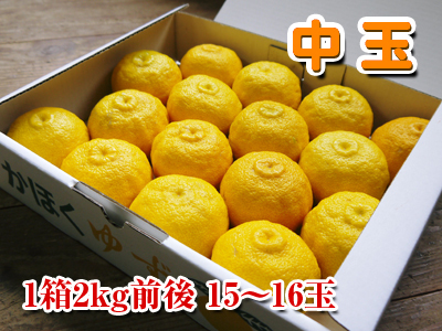 大人気!熊本産!香り高き柚子(ゆず) 令和3年度の予約受付スタート!商品ラインナップ紹介! _a0254656_14065739.jpg