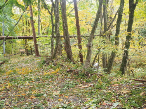 b0335256_18023580.jpg
