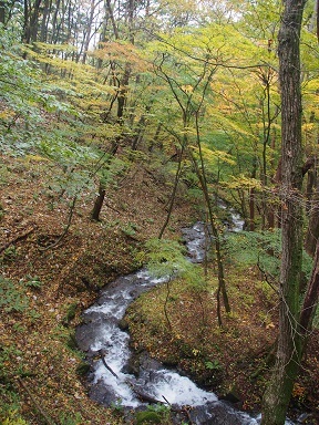 b0335256_18042706.jpg