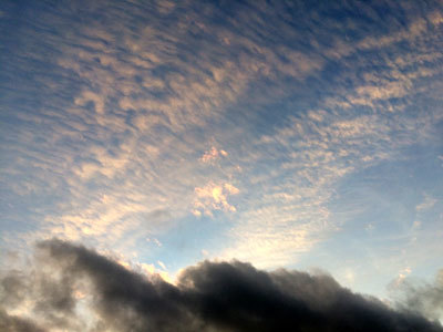 c0050264_00444754.jpg