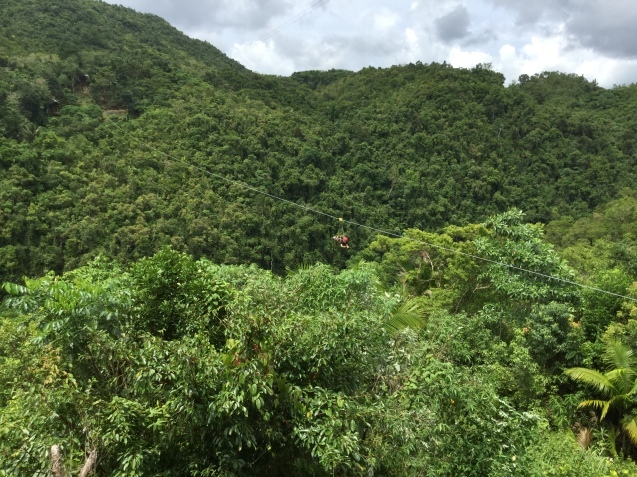 c0286574_22093765.jpeg