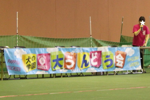 e0114977_18055208.jpg