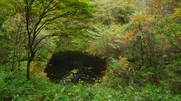 c0212083_16464939.jpg