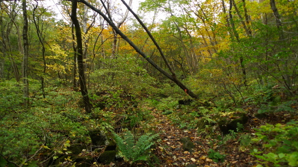 c0212083_16465925.jpg