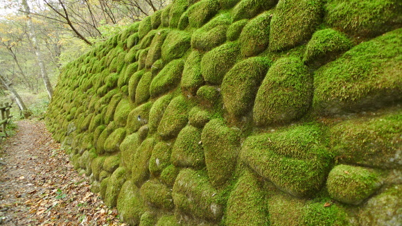 c0212083_16472616.jpg