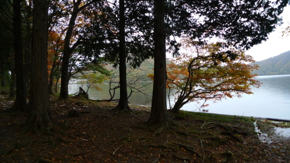 c0212083_16484299.jpg