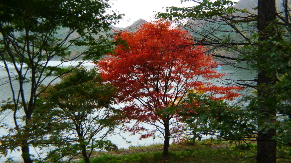 c0212083_16485595.jpg