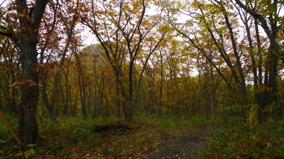 c0212083_16490923.jpg