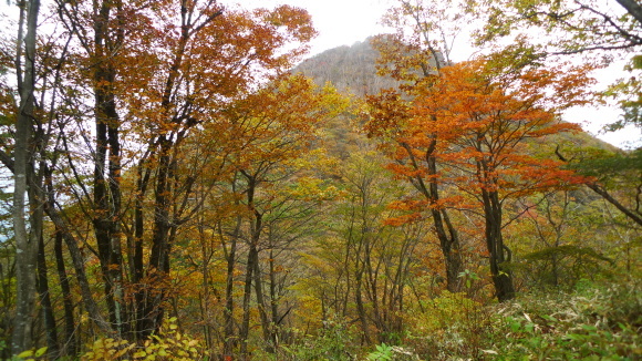 c0212083_16493286.jpg