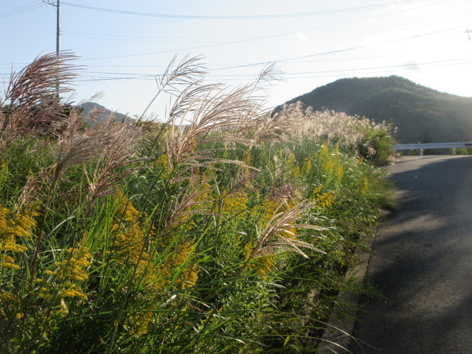 f0053885_19540780.jpg