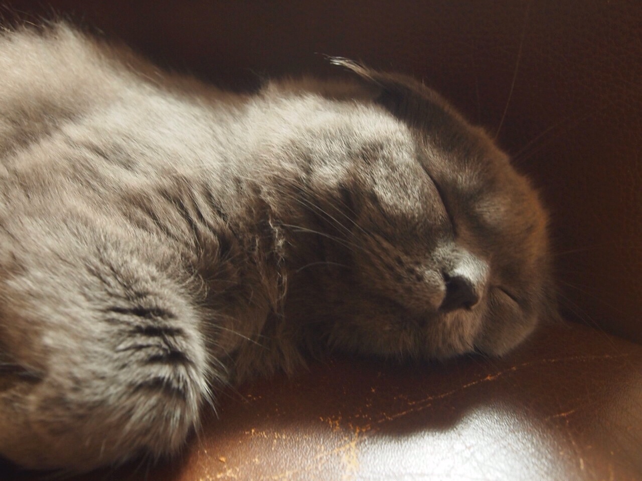 a0258686_07513090.jpg
