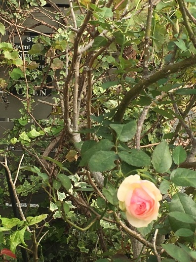 b0336787_23502937.jpeg