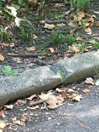 c0253487_00462310.jpg
