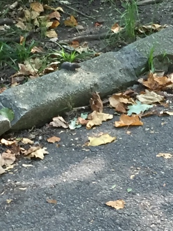 c0253487_00512891.jpg