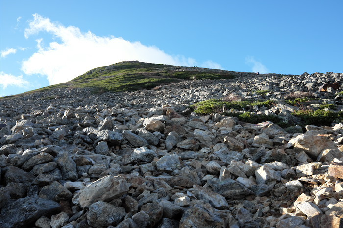 b0339488_20482721.jpg