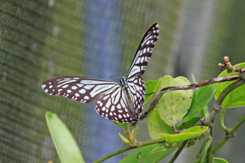 d0353091_09314685.jpg