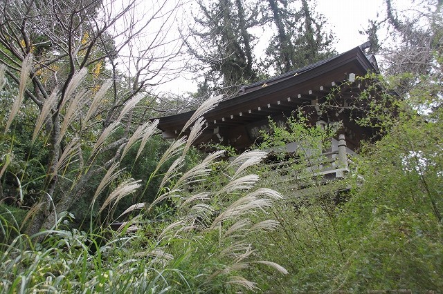 秋の北鎌倉散歩　浄智寺_f0374092_14504396.jpg