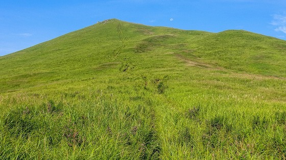 e0176993_06592230.jpg