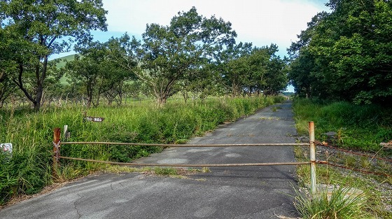 e0176993_06592279.jpg