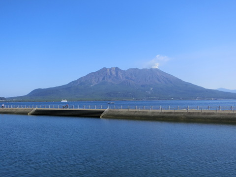 鹿児島のシンボル_d0257697_21315889.jpg