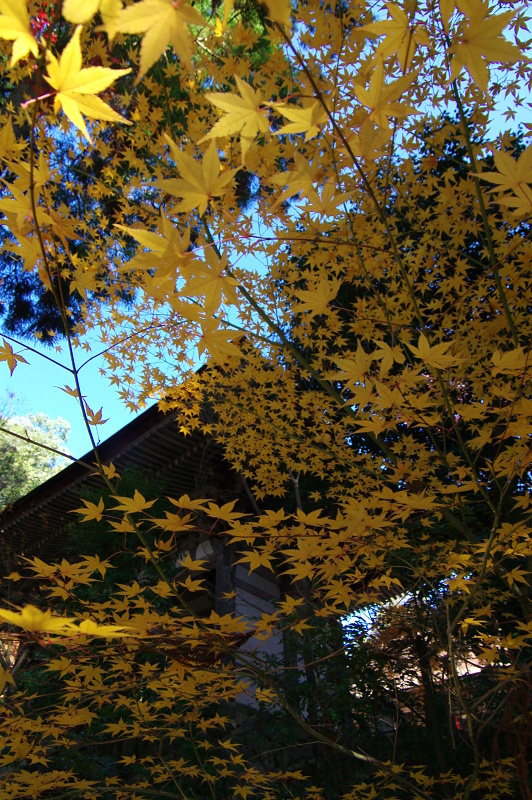 c0382798_18553225.jpg