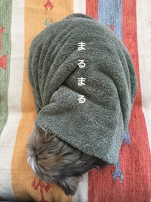 f0372998_20505963.jpg