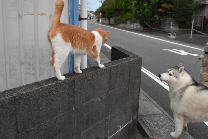 盛り沢山すぎるｗ（後半）　(^o^)_c0049299_20570767.jpg